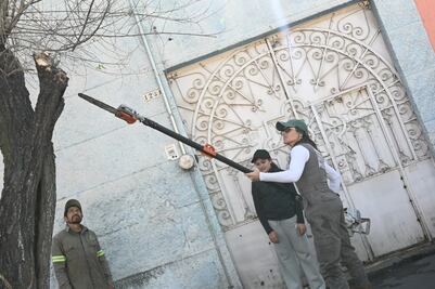 Alessandra Rojo de la Vega encabeza Jornada de Limpia Cuauhtémoc; realizan acciones de alumbrado, drenaje y vialidad