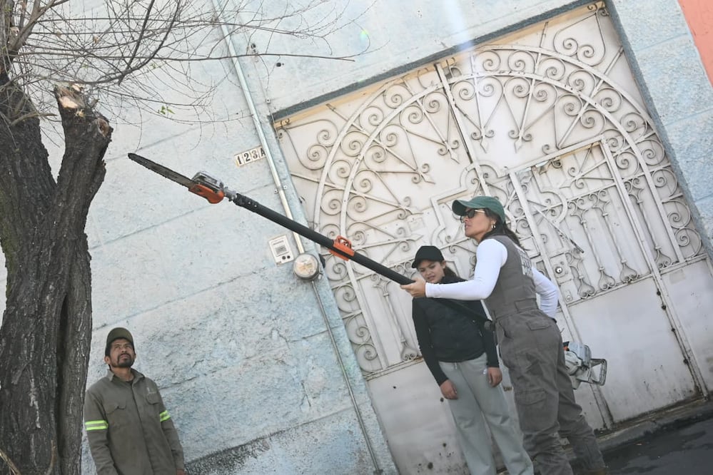 Alessandra Rojo de la Vega encabeza Jornada de Limpia Cuauhtémoc. (Foto: especial)