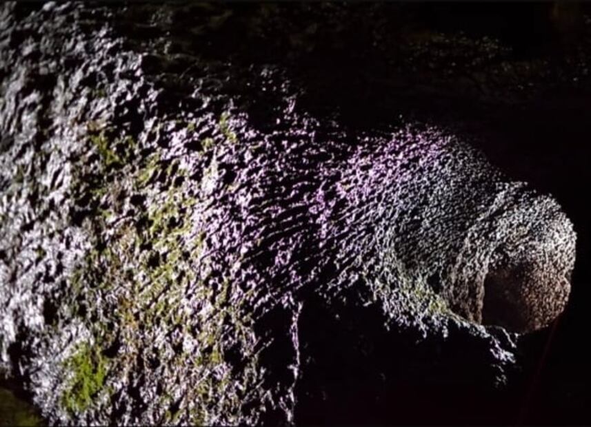 Recorre los túneles de lava del volcán Xitle en el Ajusco