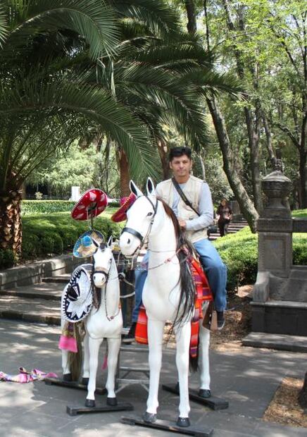 Llevan 50 años de fotografiar a los mismos caballos