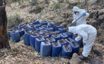 Descubren 11 nuevos laboratorios clandestinos en Culiacán y Cosalá, Sinaloa; continúan operativos