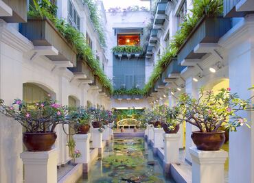 La tierra de la relajación