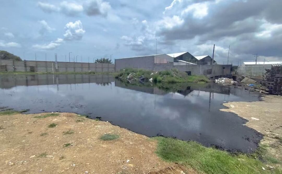 Ambientalista pide tipificar el robo de hidrocarburos como delito ambiental en Hidalgo; denuncia daños a los ecosistemas.
Foto: Especial.