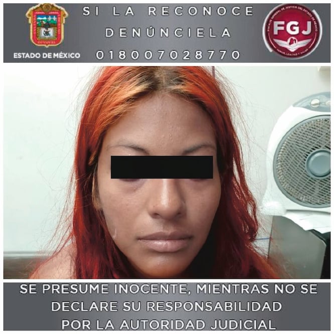 Acusada. Fiscalía mexiquense cumplimentó orden de aprehensión contra Ana Gabriela “N”, de 32 años. ESPECIAL
