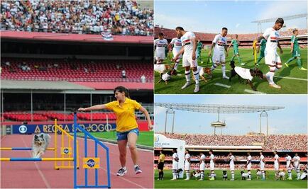 Saltan a la cancha con perros y no con niños
