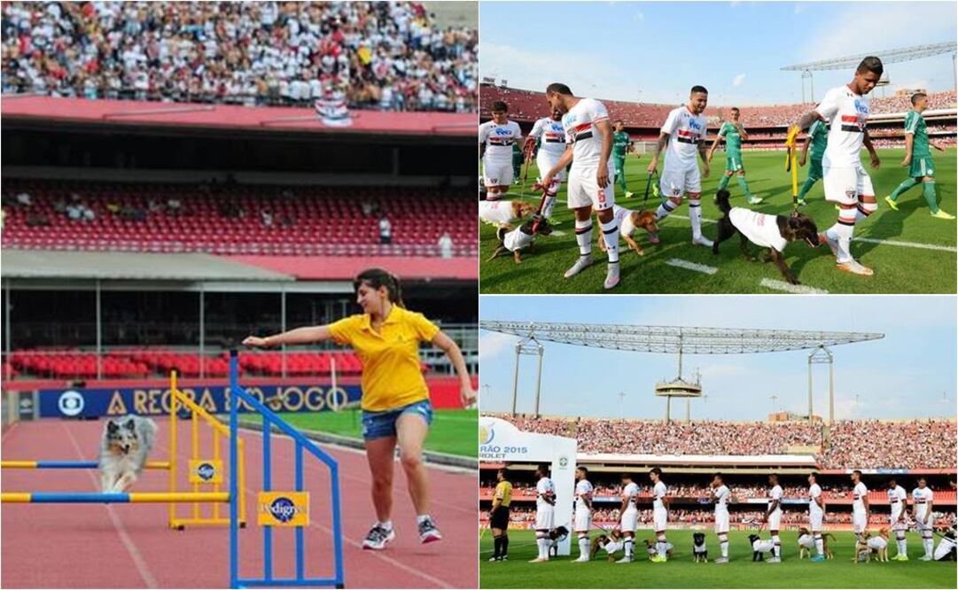 Cortesía: saopaulofc.net