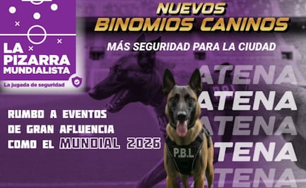 Conoce a Atena, la nueva perrita de los binomios caninos de la SSC; sus habilidades serán empleadas para el Mundial 2026