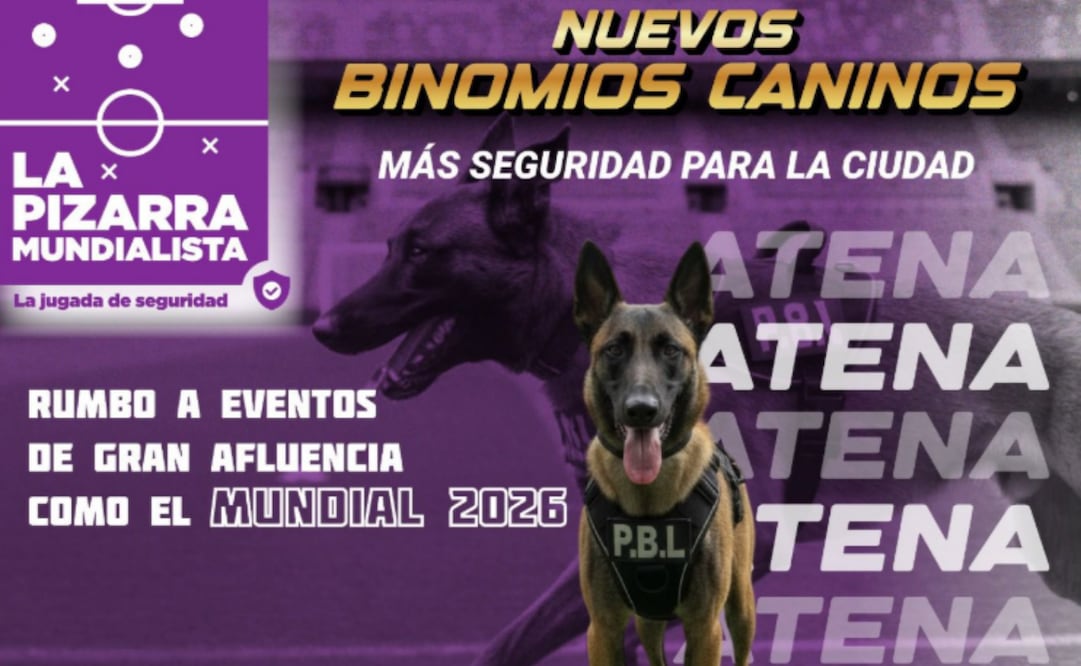 Atena, nuevo binomio canino de la SSC. Foto: Tomada de la cuenta de X de @SSC_CDMX