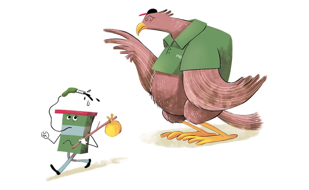 Ilustración: Ani Cortés