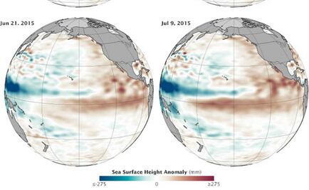 Conciencia. El Niño y el mar (de  fondo)