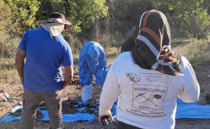 Colectivos de búsqueda hallan 10 cuerpos en fosas clandestinas en la frontera de Nogales, Sonora