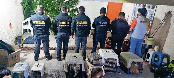Van 11 sentencias por maltrato animal en el Edomex