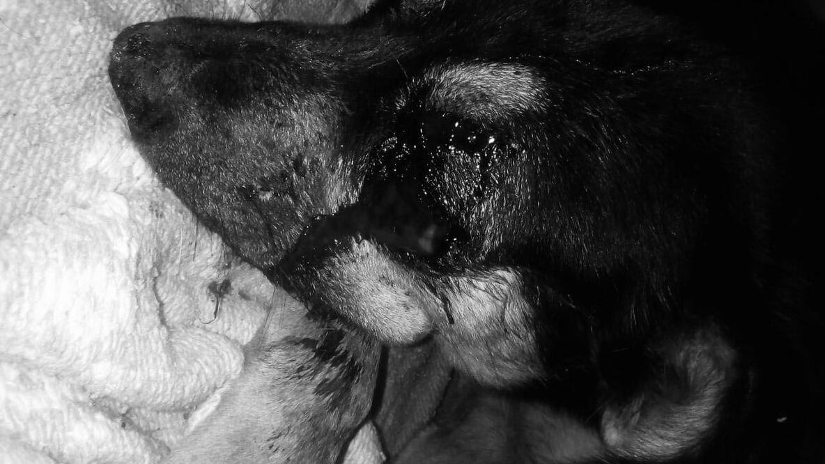 Fotografía. Especial