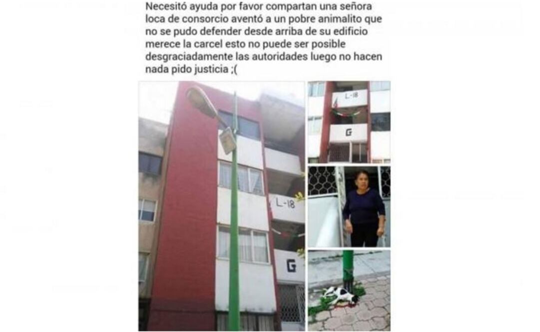 Hasta 2 años de prisión por matar a un cachorro 