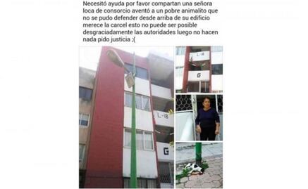 Hasta 2 años de prisión por matar a un cachorro