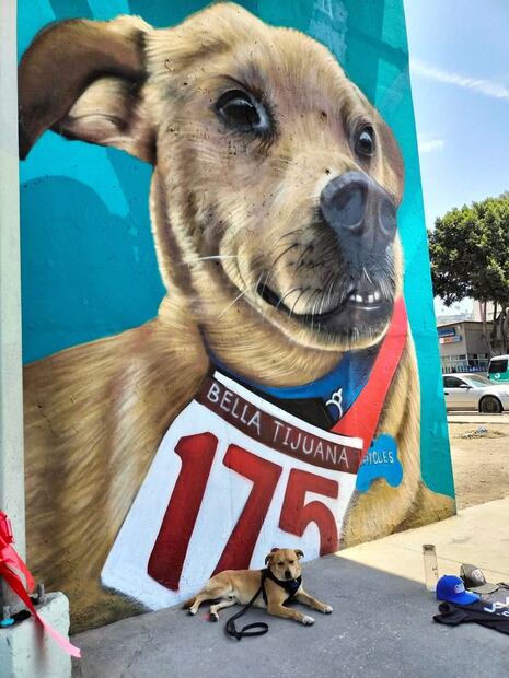 Mural a Chicles, pintado en 2023 en Tijuana. Foto: Redes sociales