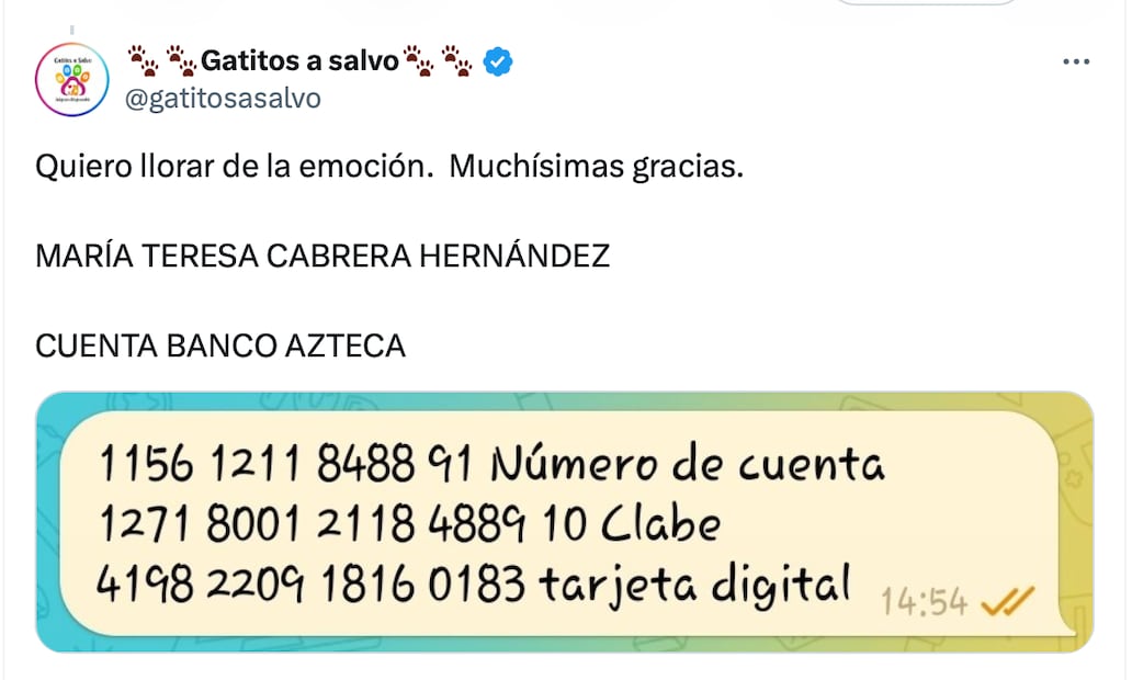 Salinas Pliego propone “coperacha” para esterilizar a gatos en situación de calle. Foto: Captura de pantalla