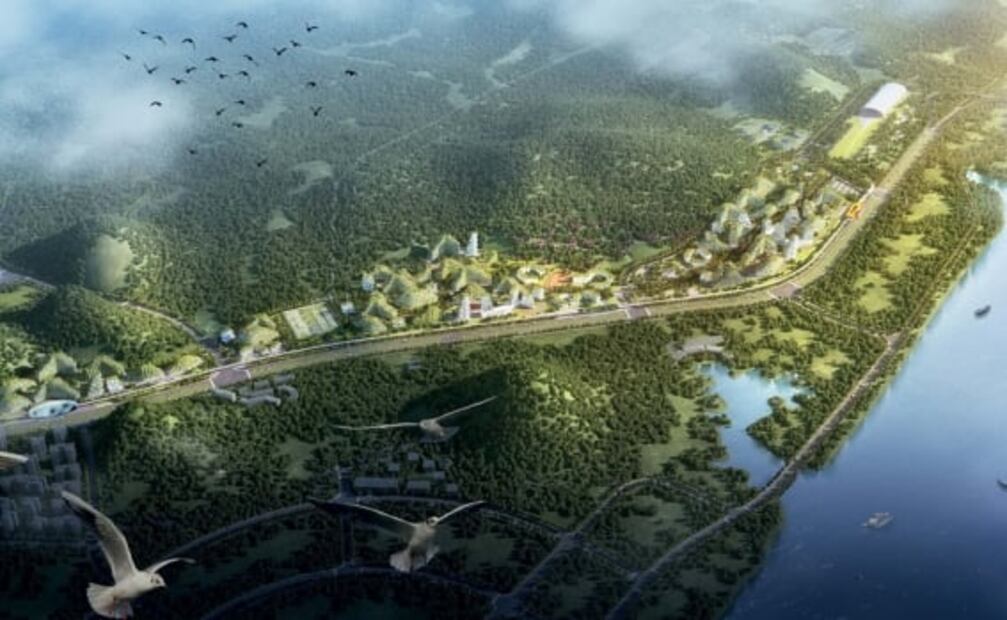 China proyecta realizar la primer ciudad forestal en el mundo