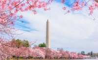 Washington, DC. iStock/ Chansak Joe