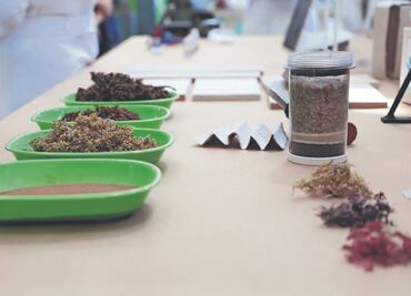 Dan al sargazo una segunda vida