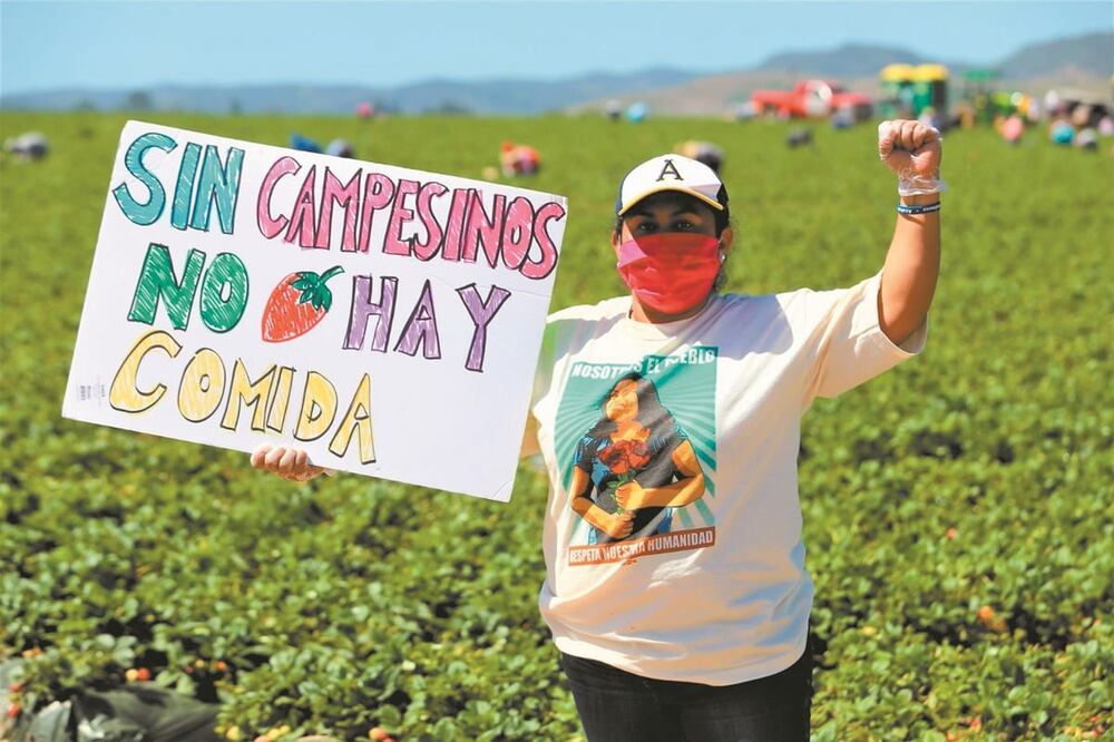 Yesenia Rojas trabaja para ayudar a la comunidad migrante que radica en California, con la búsqueda de visas humanitarias, becas para jóvenes y gestión de donaciones. Foto: ESPECIAL