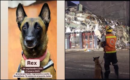 Muere Rex, perro belga que ayudó a rescatar personas durante sismo del 19S; localizó una persona con vida y cuatro cuerpos