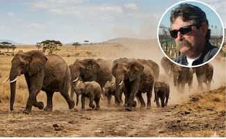 ¿Quién era Ernie Dosio?; cazador millonario muere tras ser aplastado por un elefante en África