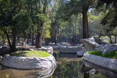 Reabren al público Las Tazas en el Bosque de Chapultepec