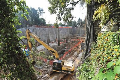 CDMX avala tala de 147 árboles para erigir torres  