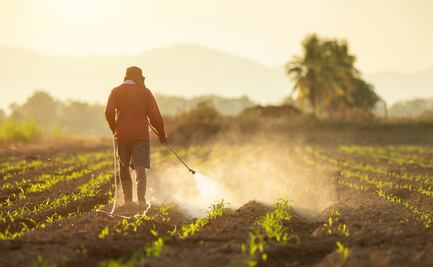 El polémico glifosato