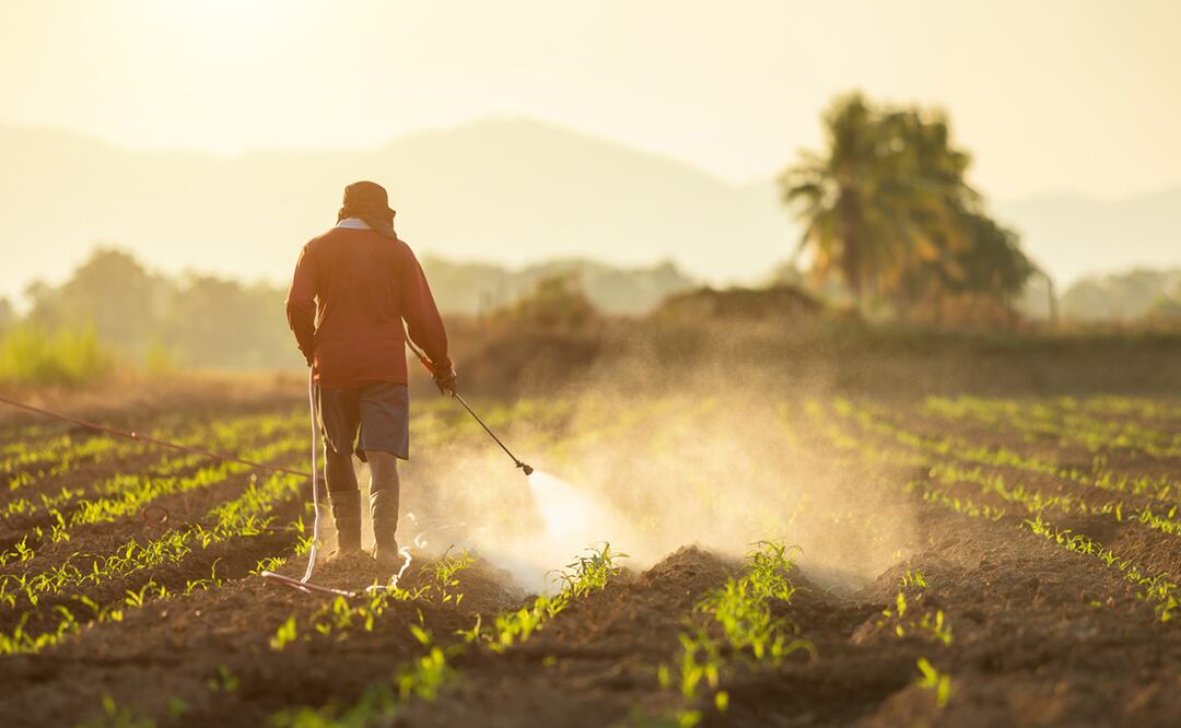El polémico glifosato