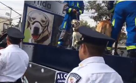 Frida, rescatista de la Marina, se roba aplausos durante desfile en Cuajimalpa