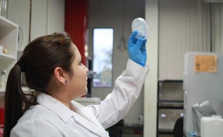 IPN scientist creates healing patch for diabetic patients