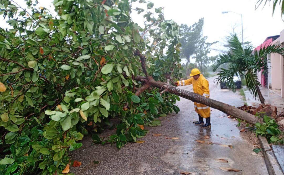 Foto: Twitter @MauVila
