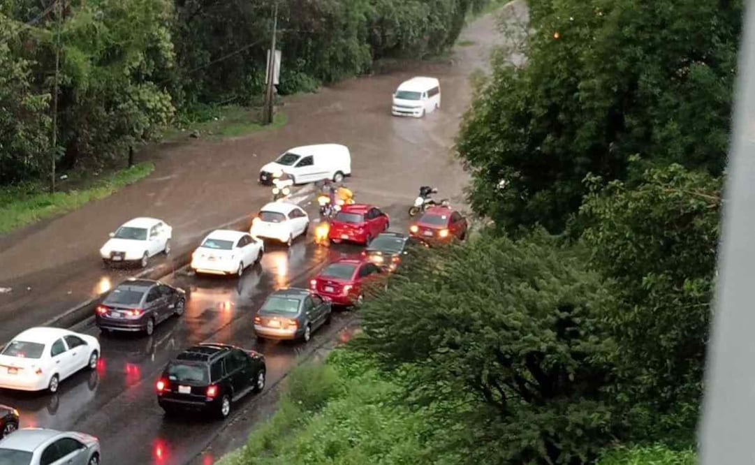 El agua pluvial también dejó afectaciones en calles de la colonia Barrón y en el albergue Pergatuzoo. Foto: Especial