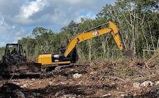 Sélvame y Greenpeace denuncian construcción de carretera sobre acuífero Maya en Tulum; advierten daño irreversible al ecosistema