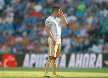 Pierden filo sus garras