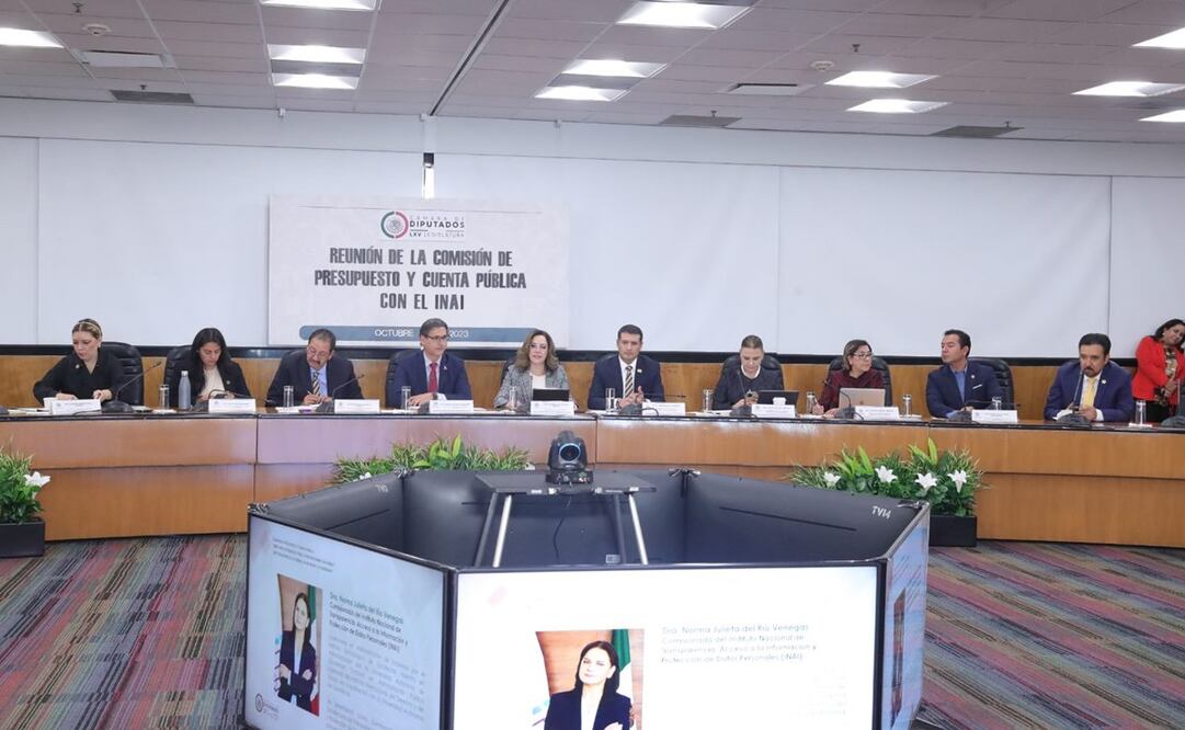 Comisionada presidenta del INAI, Blanca Lilia Ibarra en reunión de la comisión de Presupuesto y Cuenta Pública con el INAI. Foto: Especial