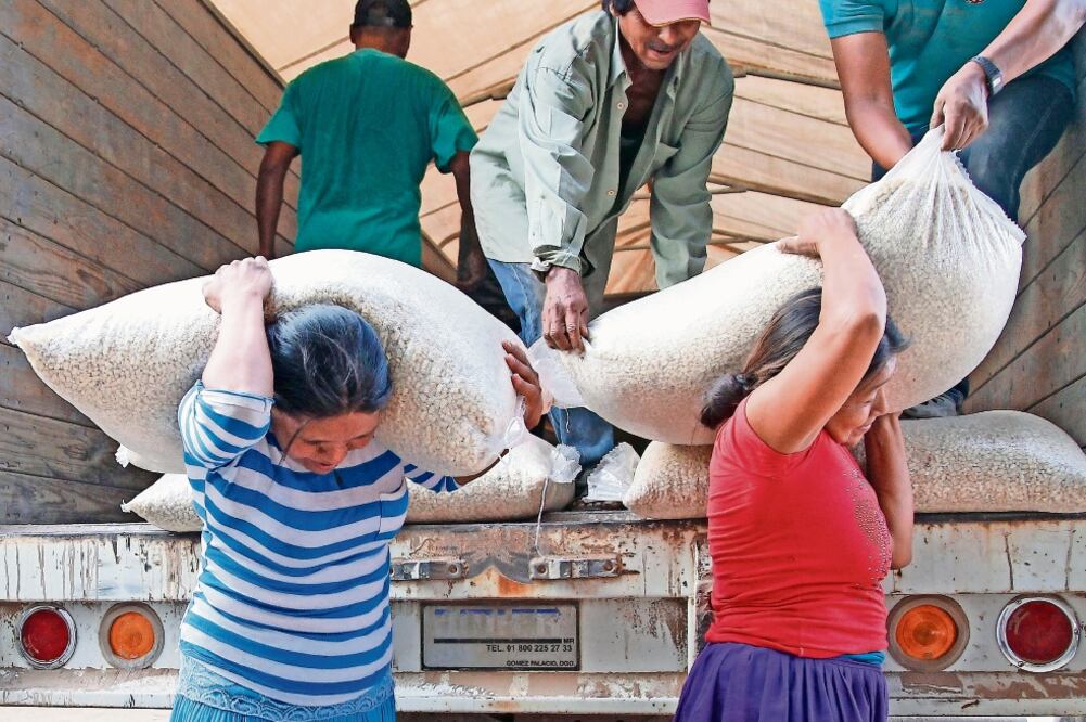 En la comunidad Las Higueras, Nayarit, donde viven cerca de 500 personas, las mujeres y los niños ayudan a descargar los camiones de Diconsa (ARIEL OJEDA. EL UNIVERSAL)