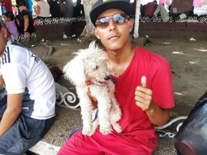 Lomito migrante viaja desde Venezuela a Tapachula; caminó durante 2 meses y medio