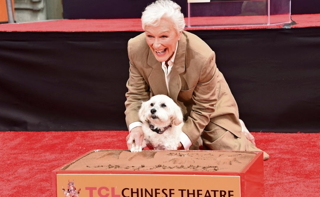 Pip ha sido el compañero de Glenn en diversas alfombras rojas y otros eventos públicos. Foto: Chris Delmas / AFP