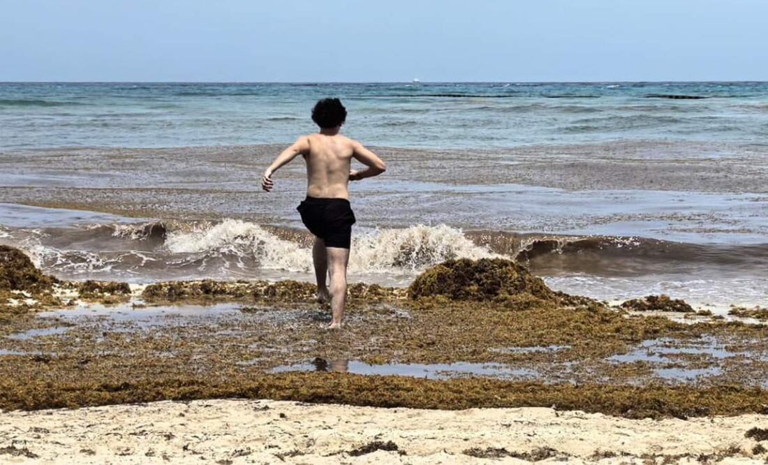 Presencia de sargazo en costas de Quintana Roo (03/06/2025). Foto: Adriana Varillas / EL UNIVERSAL