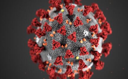 As new COVID-19 clusters emerge worldwide, WHO warns virus may be here to stay