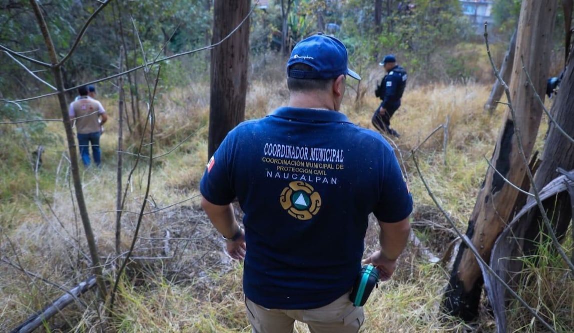 Descartan presencia de pantera en Naucalpan; advierten sanciones por falsas alertas. Foto: Especial