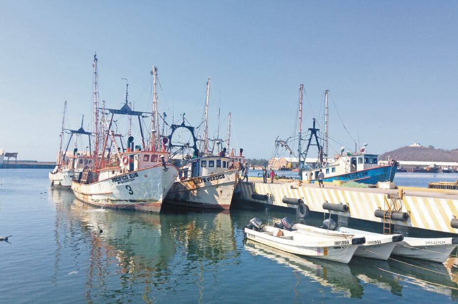 Foto/ALBERTO LÓPEZ. EL UNIVERSAL