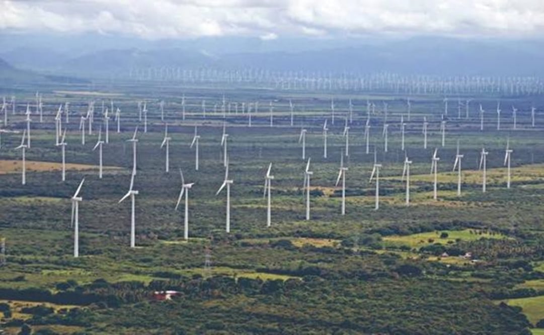 Foto: Archivo EL UNIVERSAL