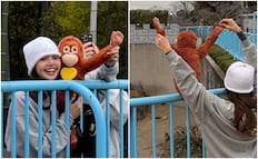 Lisa de Blackpink presume tierno momento con “Punch”, el mono bebé viral; comparte épicas imágenes en Instagram