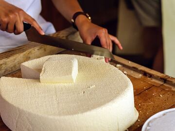 Conoce los beneficios del queso fresco