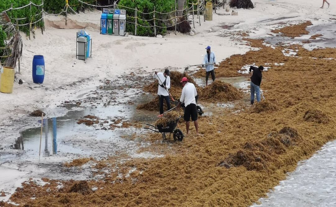 Foto: Adriana Varillas / EL UNIVERSAL