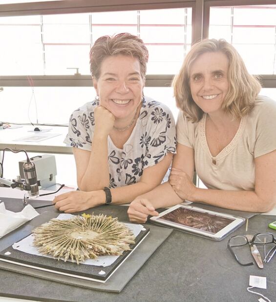 "Penacho de Cuauhtémoc" en tela de juicio; lo estudian expertos de México y Francia